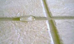 Tile and Grout Cleaning Perth Clean and Protected